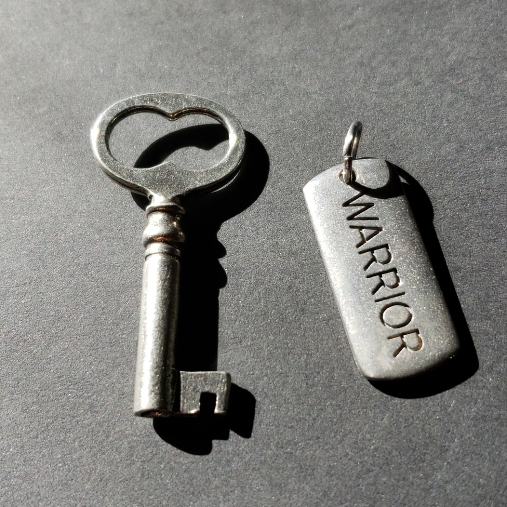 NWOT Origami Owl Charms